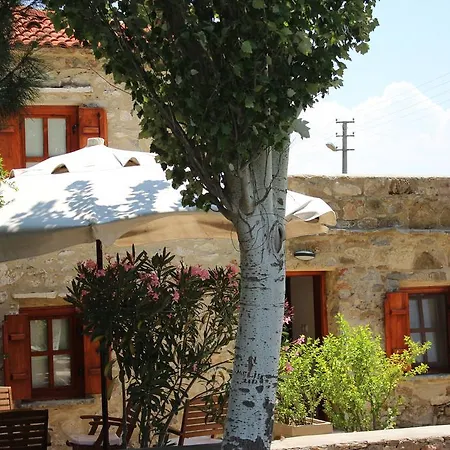 Eylem Dinlenti Evi