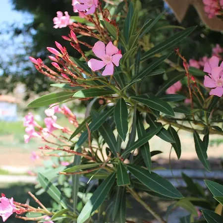 Landhaus Eylem Dinlenti Evi Bozcaada