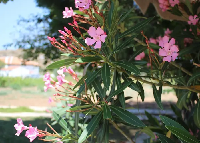 Casa rural Eylem Dinlenti Evi Bozcaada